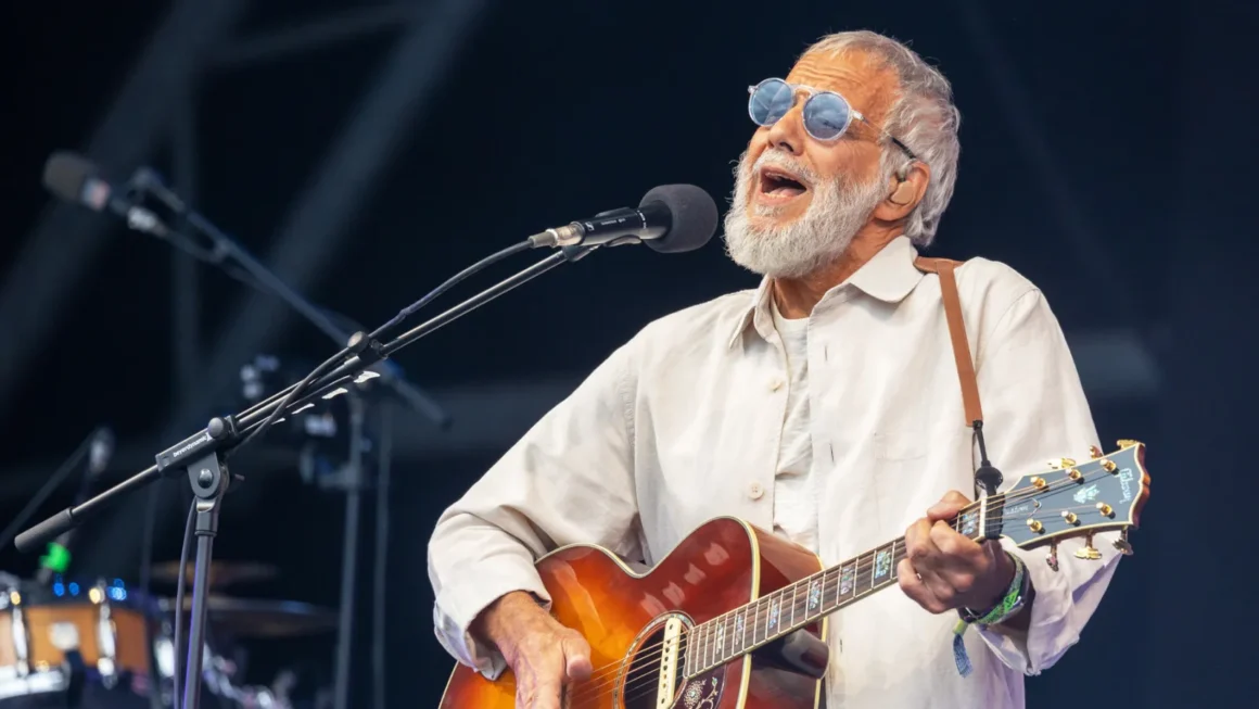Cat Stevens Live in Chicago